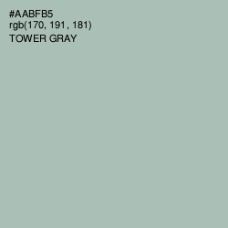 #AABFB5 - Tower Gray Color Image